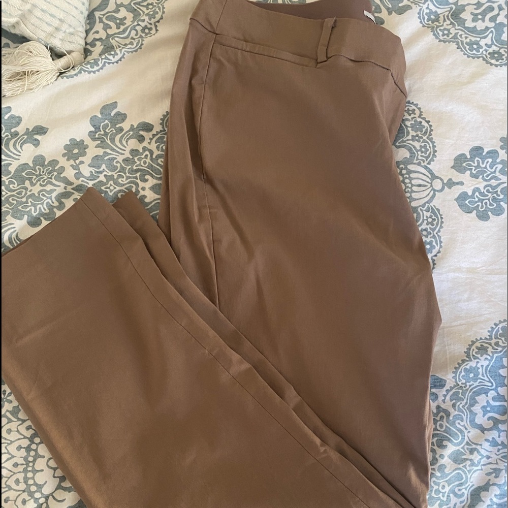 Boot cut Dress Pant